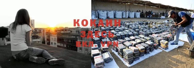 shop клад  Бежецк  Cocaine Эквадор  как найти  