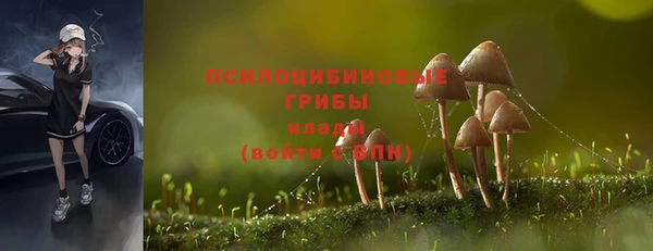 mdpv Протвино