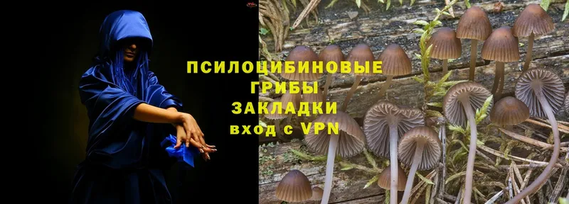 KRAKEN зеркало  Бежецк  Псилоцибиновые грибы MAGIC MUSHROOMS 
